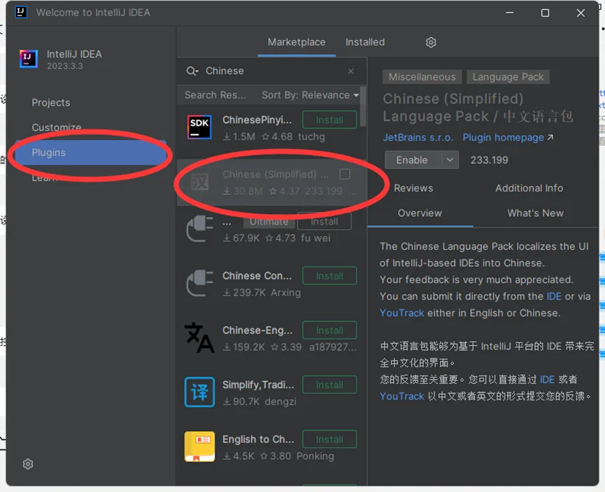 安装中文汉化插件